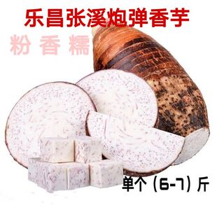 新鲜乐昌张溪芋头农家绿色蔬菜炮弹香芋正宗韶关香芋大芋头