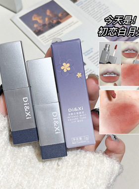 新款浓雾丝绒唇泥哑光显白方管