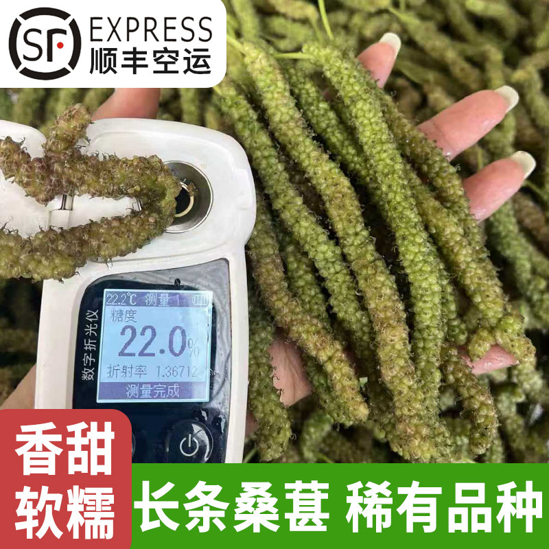 顺丰空运稀有长条桑葚鲜果纯甜孕妇水果新鲜现摘无沙免洗台湾桑椹