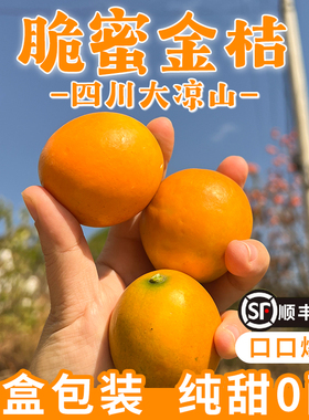 大凉山脆蜜金桔正宗金柑当季水果纯甜非广西融安5A级果王纯甜无籽
