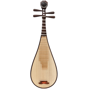 虎丘牌 花梨木琵琶乐器初学者入门儿童成人专业老红木酸枝木琵琶