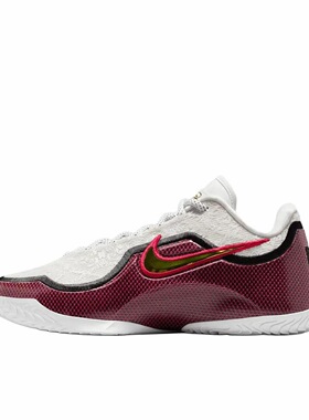 Nike Lebron 23 支撑回弹抓地 篮球鞋 男款 白红色IB9563-100