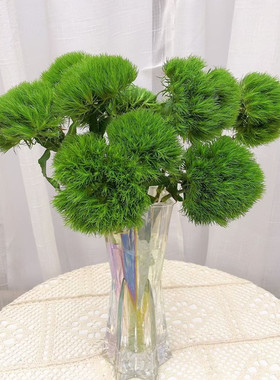 绿毛球鲜花 水培植物家庭插花装饰摆件摄影云南昆明基地直发 真花