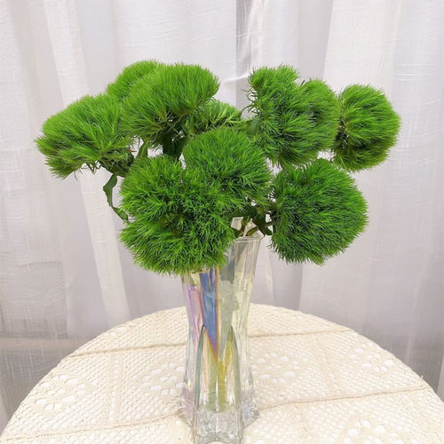 绿毛球鲜花水培植物装饰摆件摄影