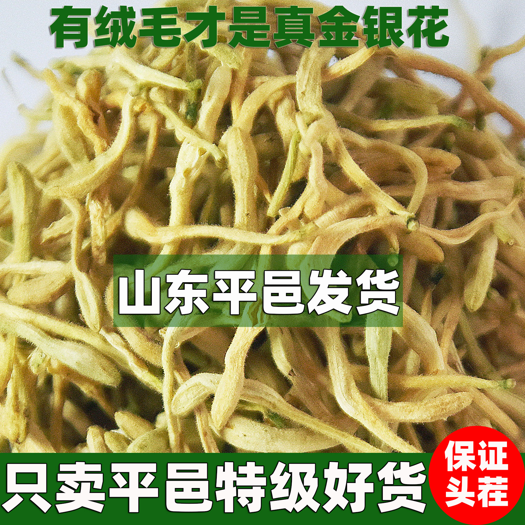 金银花山东正宗野生农家自采500g