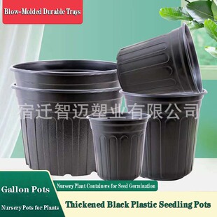 Black Plastic Seedling Pots/Trays - Nursery Plant Containers
