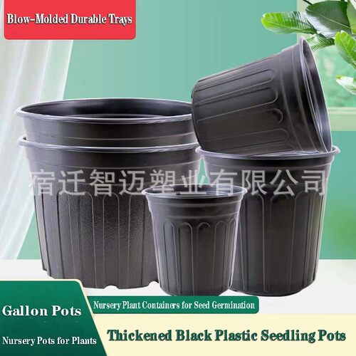 Black Plastic Seedling Pots Trays, Nursery Plant Containers