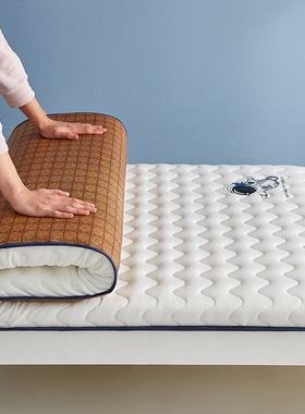 Dual-Sided Foldable Mattress Pad - Thickened Soft Floor Mat