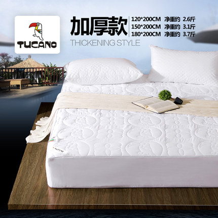 床笠纯棉单件加厚 夹棉防滑床罩床套 1.8m床全棉席梦思床垫保护套