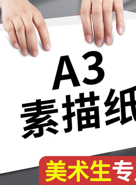 A3素描纸美术生专用儿童幼儿园画画纸小学生绘画水粉纸水彩纸马克笔图画纸彩铅油画棒速写纸铅画纸空白手抄报