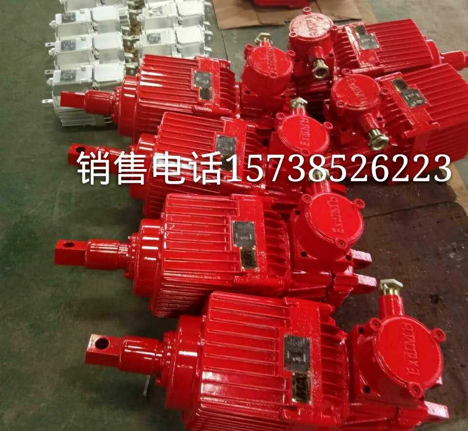 防爆电力液压推动器 BED301/6