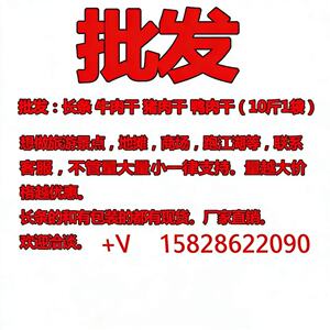 批发  批发 零售 牛肉干 【厂家直销】招代理欢迎老板洽谈