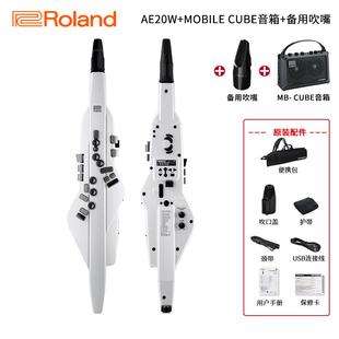 AE30专业电子吹管乐器电萨克斯笛子葫 高档Roland罗兰电吹管AE20W