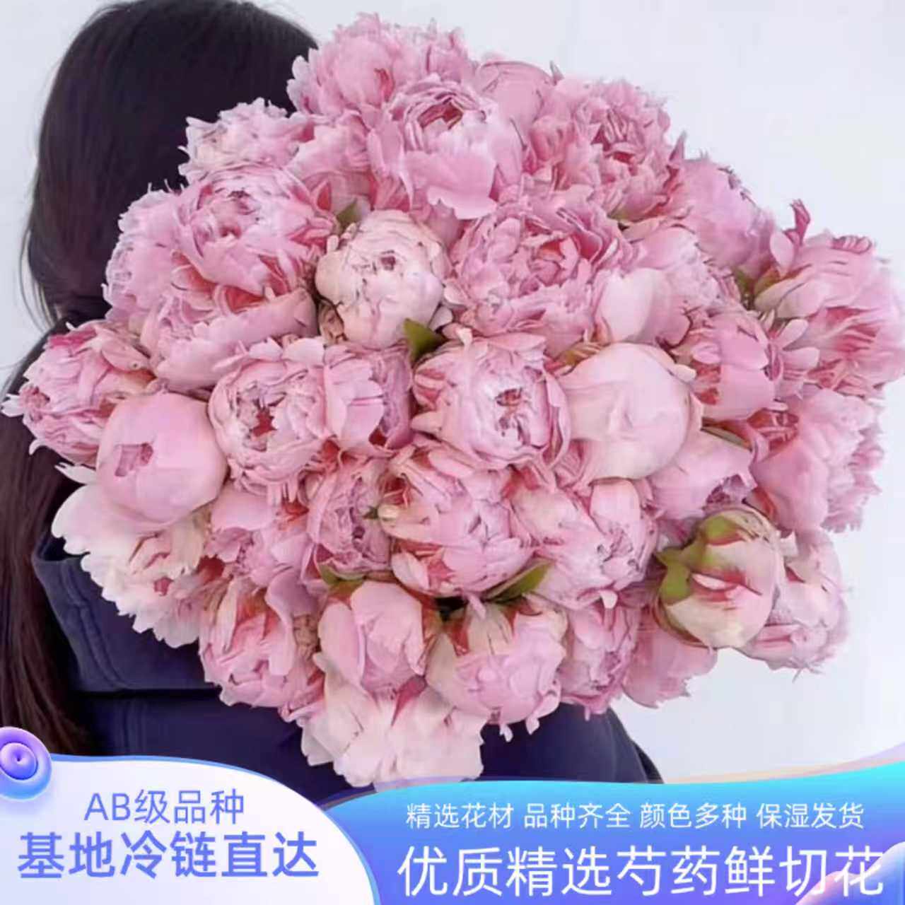 山东芍药鲜切花重瓣鲜花速递家庭插花办公室进口品种生粉珊瑚日落
