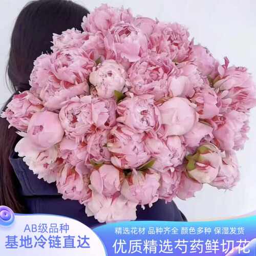 山东芍药鲜切花重瓣鲜花速递家庭插花办公室进口品种生粉珊瑚日落