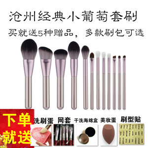 沧州12支小葡萄网红化妆刷眼影散粉初学者彩妆受受小狼全套装刷子