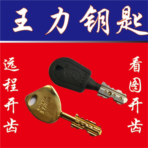 王力钥匙看图开齿远程民用