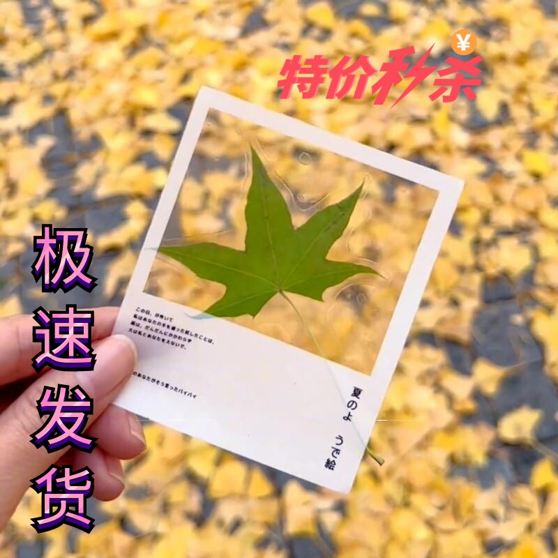 瓶子里的春天枫叶书签树手