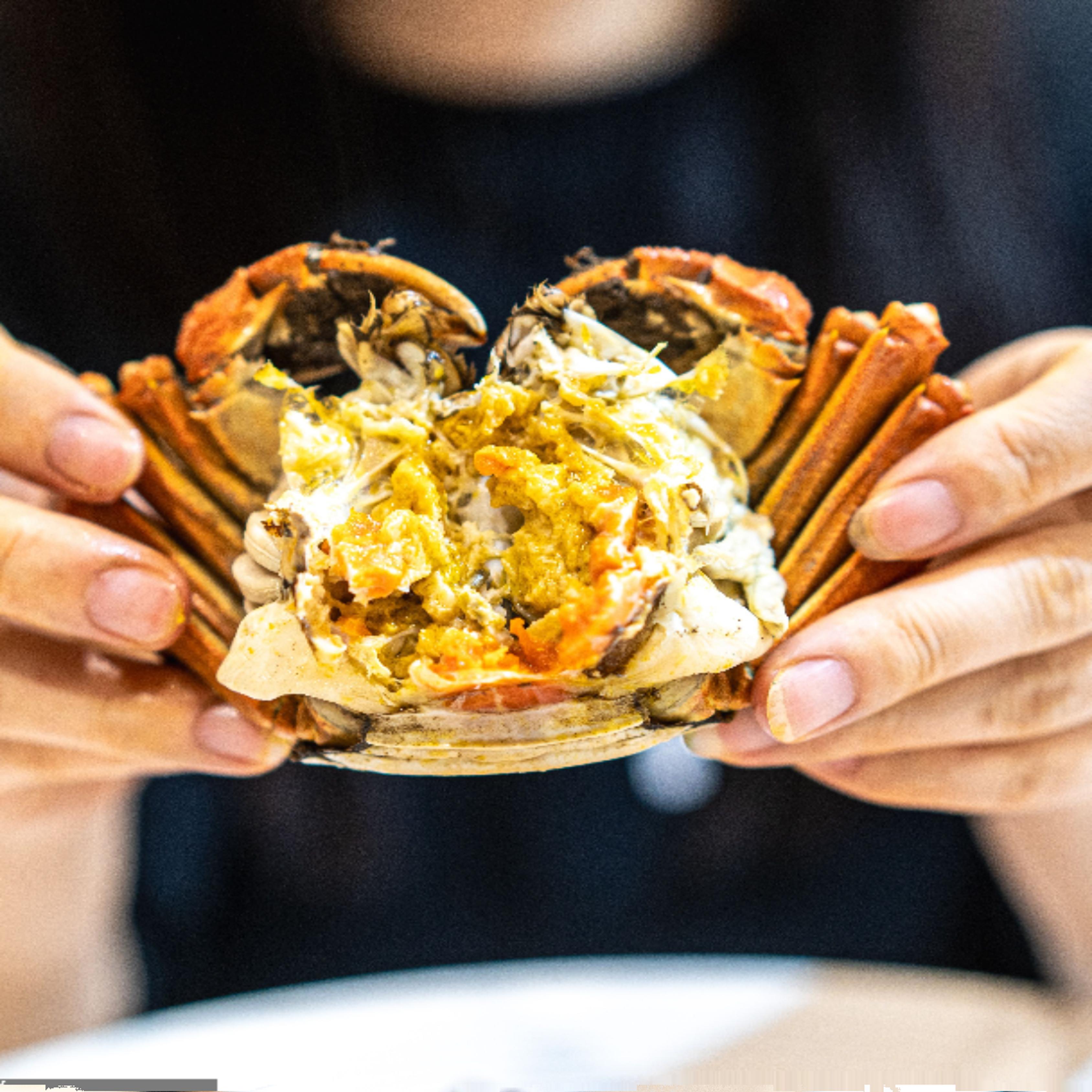 答蟹大闸蟹约3两母蟹，约3.5两公蟹，各4只，共8只