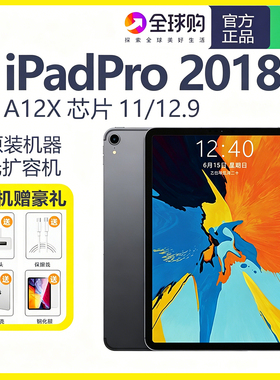 Apple/苹果 11 英寸 iPad Pro2018款1代政府补贴游戏办公平板电脑