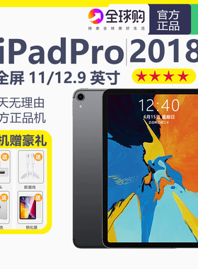 Apple/苹果 11 英寸 iPad Pro 2018款 120hz高刷 苹果平板电脑