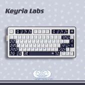 PBT客制化键帽 天鹅玫瑰 五面热升华 Labs Keyria