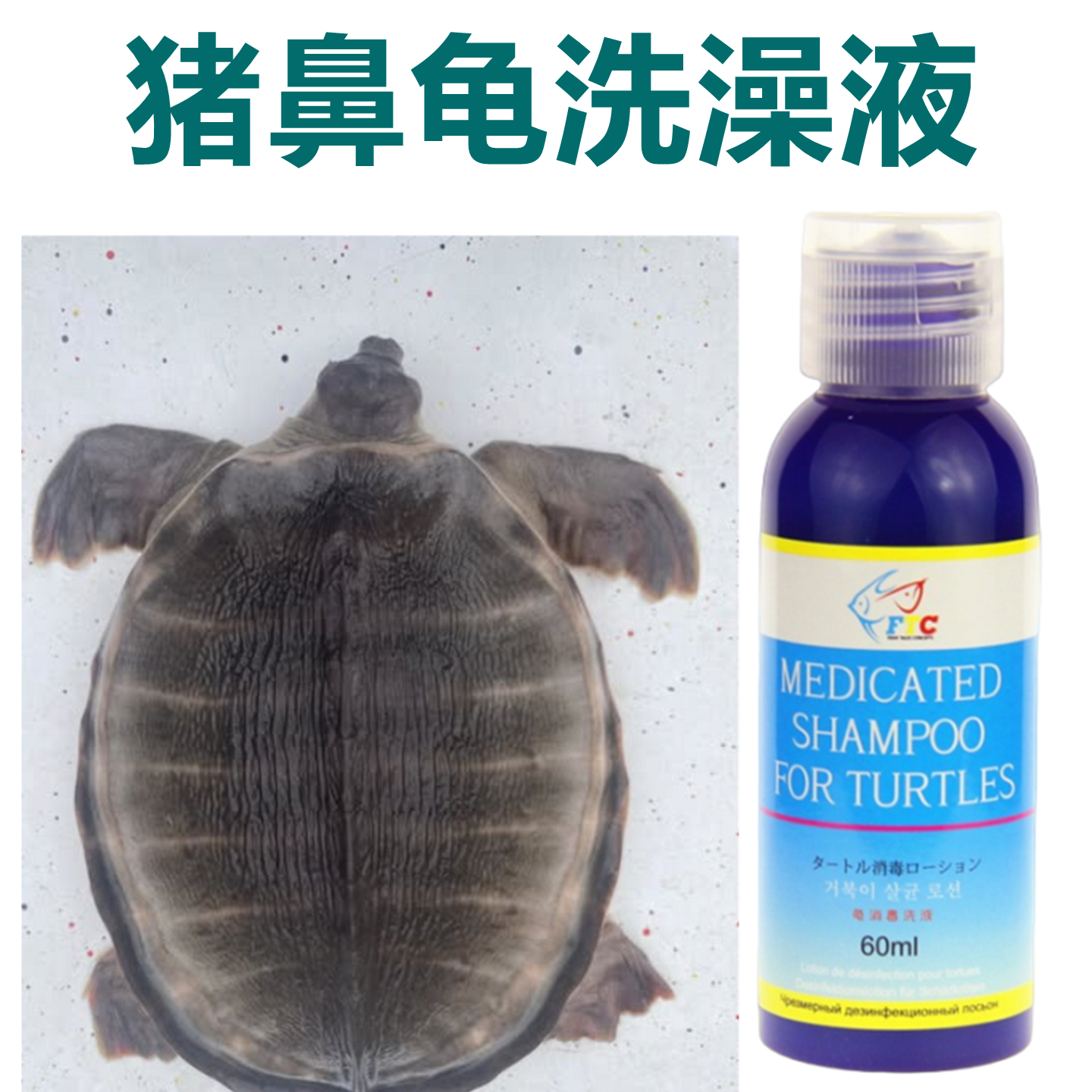 马来西亚猪鼻护龟液除臭剂宠物龟养殖场通用消毒洗液小龟腐皮脱皮