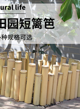 小矮竹篱笆栅栏围栏竹排高低栏杆庭院花园花坛苗圃围挡竹子装饰