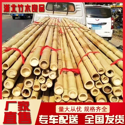 长竹子杆竹竿市集节日活动搭架