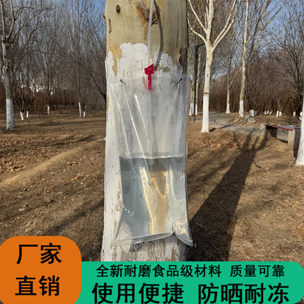 白桦树汁采集袋加厚密封液体包装袋食品级蓄水挂钉式树汁大容量袋