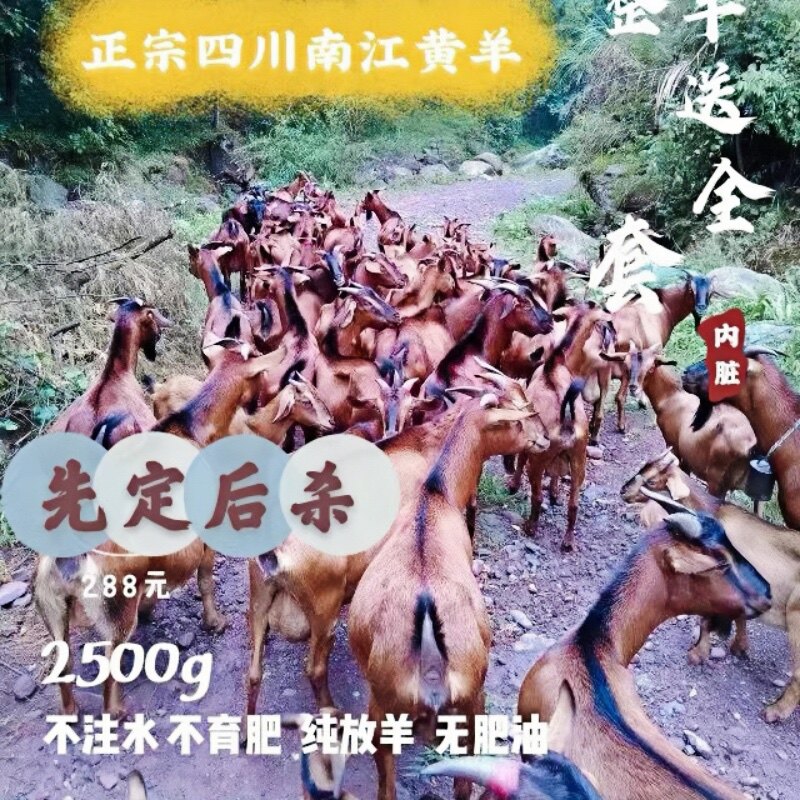 农家散养正宗黄黑山羊肉新鲜带皮