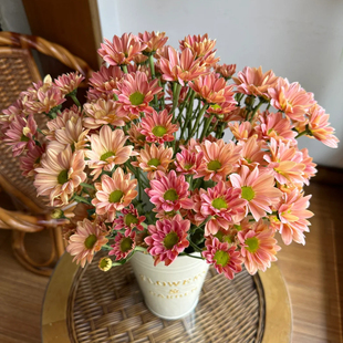 包邮 全店任意2件 云南新鲜鲜花 送货上门 三文鱼小雏菊10支