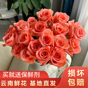 【玫瑰福利】【影星玫瑰10支】云南鲜花全店任意升级快递包邮