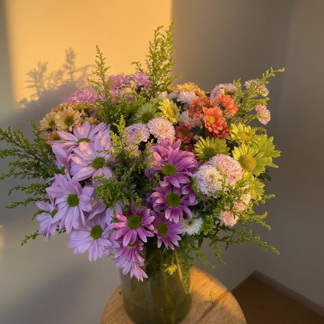 【混色小雏菊10支+黄莺草10支】花期久云南鲜花两件包邮送货上门