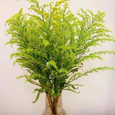 鲜花配草1份（跟主花一起发，不单发不参与快递）云南鲜花