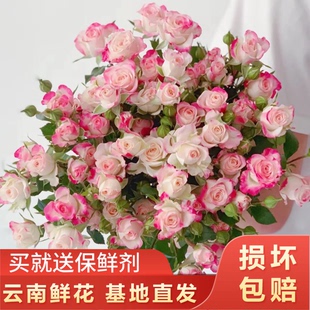 【超值爆款】折射多头玫瑰10支云南鲜花全店任意两件顺丰京东包邮