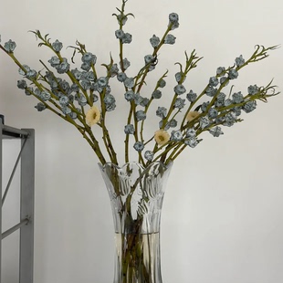 包邮 云南新鲜鲜花全店任意2件 送货上门 尤加利果可做干果