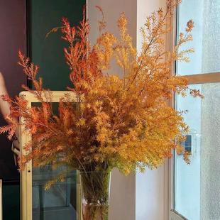 包邮 云南新鲜鲜花全店任意2件 送货上门 千层金鲜花