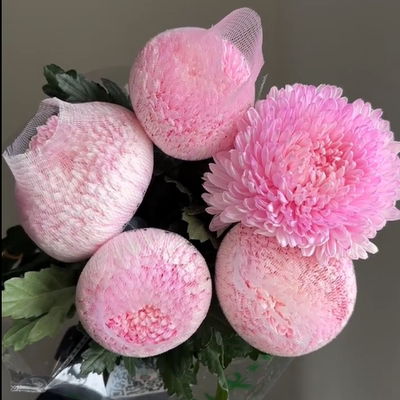 【福利粉色牡丹菊5支】云南新鲜鲜花全店任意2件包邮送货上门