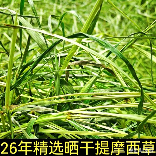 21年特级提摩西草500g提摩西草
