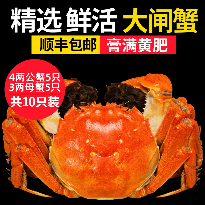 漾荡太湖大闸蟹10只鲜活螃蟹公大闸蟹