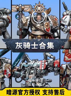 暗源战锤40K灰骑士JOYTOY超可动人偶机甲模型手办玩具男孩战棋
