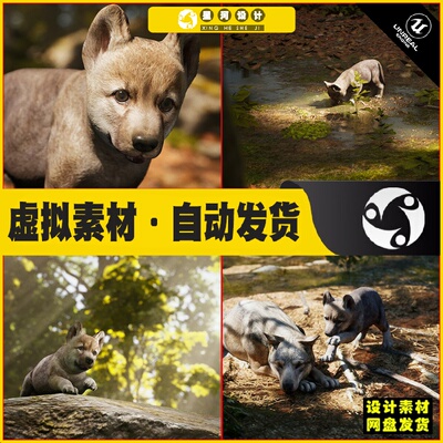 UE4虚幻5 Animalia - Gray Wolf (young) 小灰狼怪物模型4.27 5.4