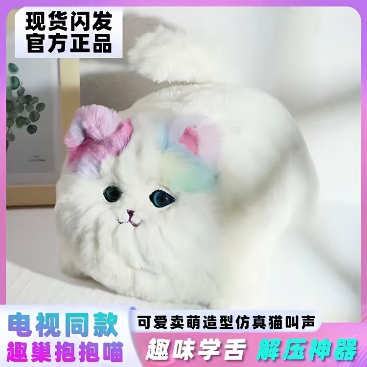 网红抱猫喵会说话毛绒小咪