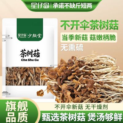星仔岛不开伞茶树菇干货100g农家新货不开伞菌菇煲汤足称净重装