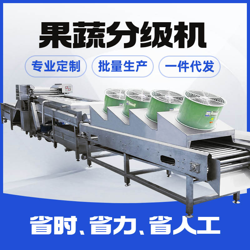 清洗风干一体机果蔬处理设备百香果脐橙沃柑土豆清洗机鼓泡洗果机
