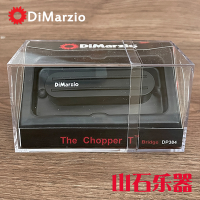 DP172417384389318拾音器