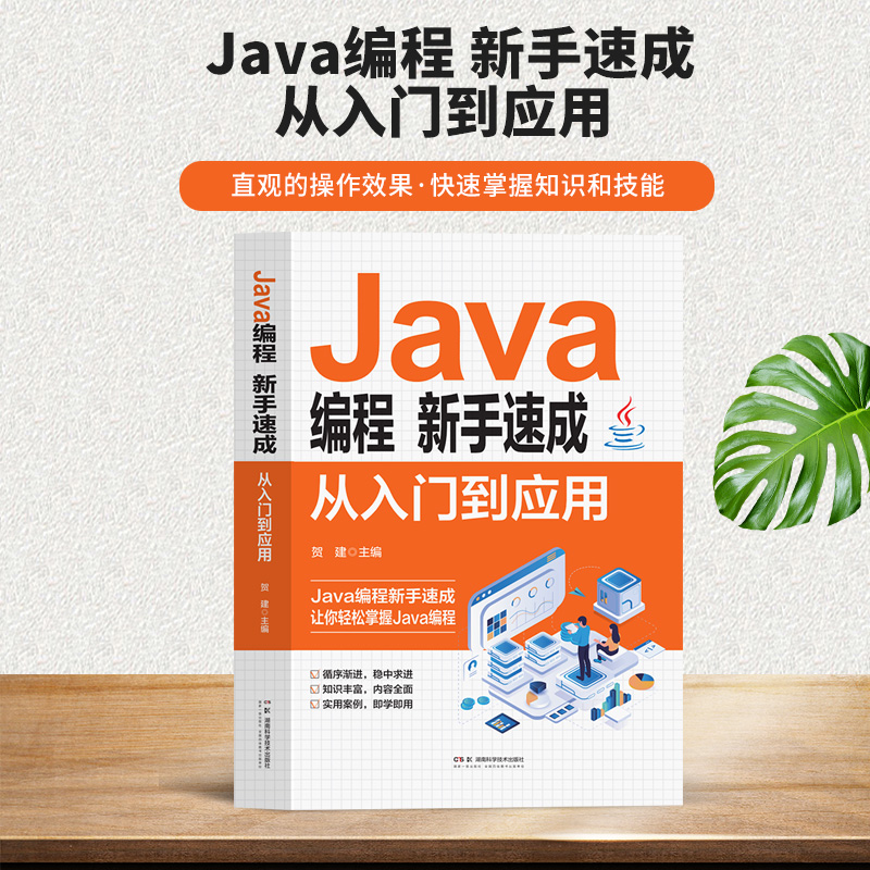 Java编程新手速成:从入门到应用从入门到应用 Java编程新手速写 电脑编程基础计算机软件开发教程书入门零基础自学零基础学