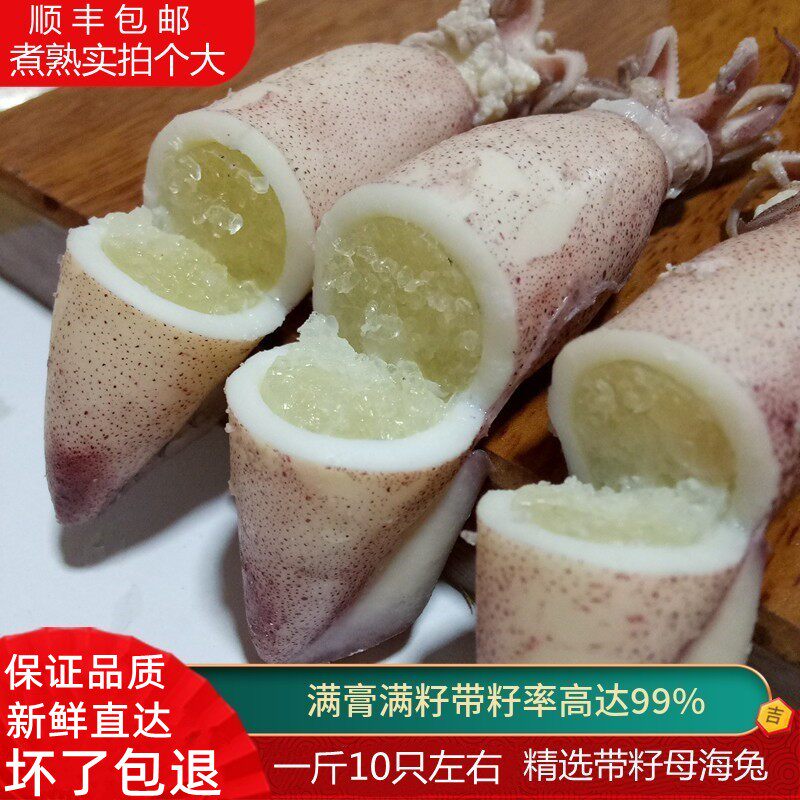 新鲜笔管鱼满籽海兔子冷冻海鲜
