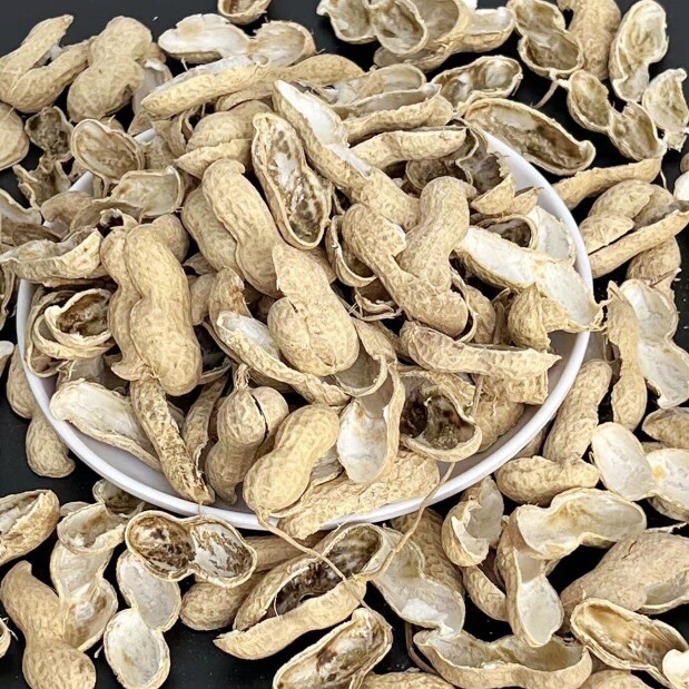新鲜农家手剥花生壳粗饲料中药煮配方介质/营养土